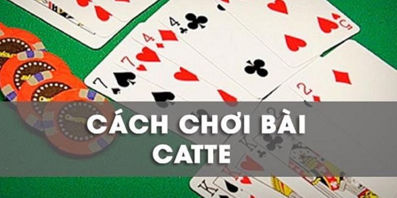 Hướng dẫn cách chơi 6 lá catte